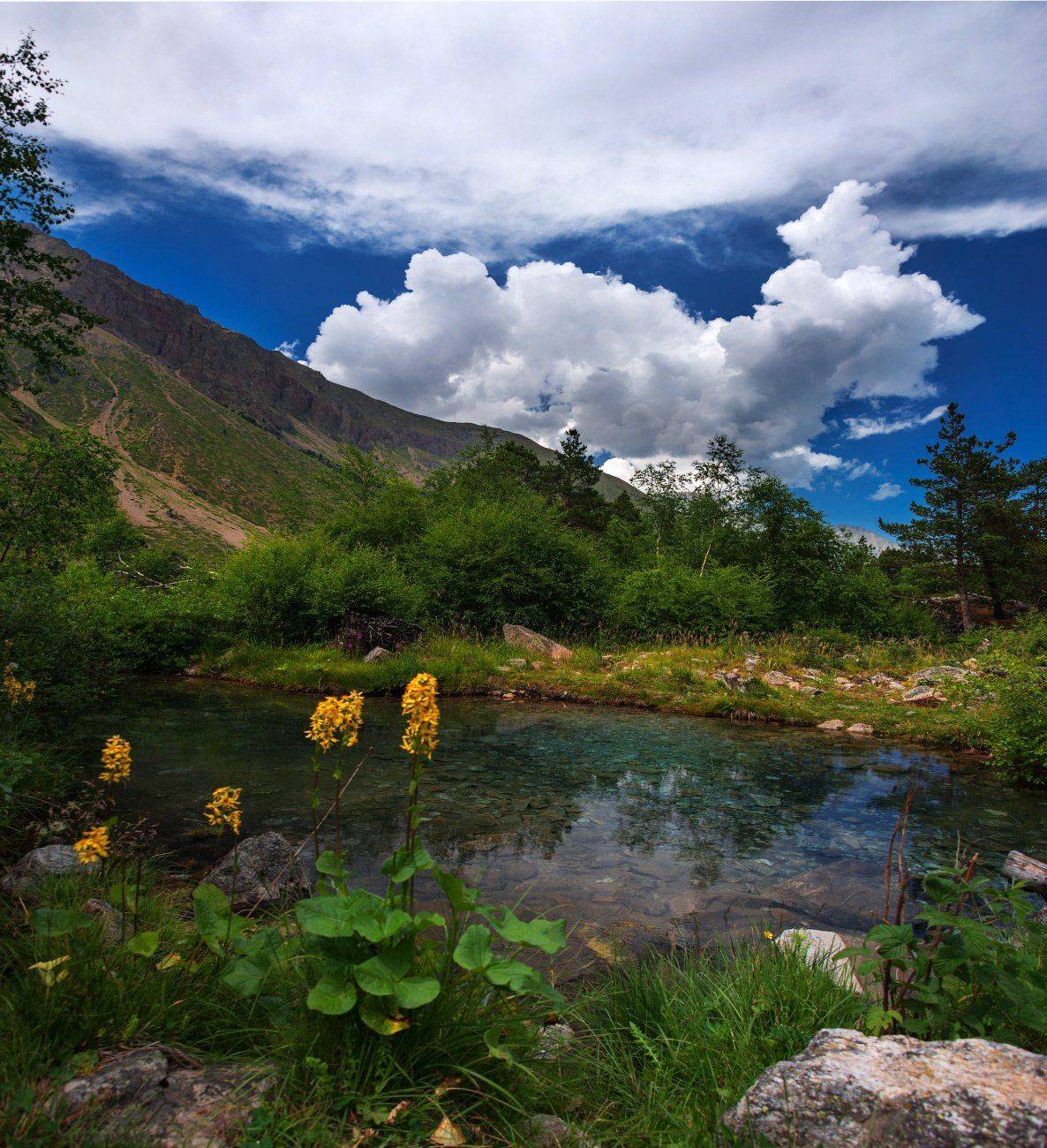 , Елена Брежицкая