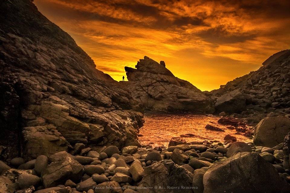 , Paulo Mendon&ccedil;a