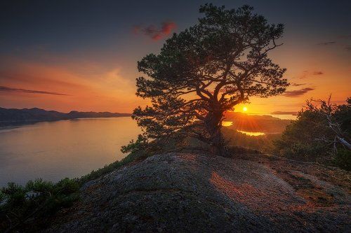 Одиночка на вершине Nerafjellet