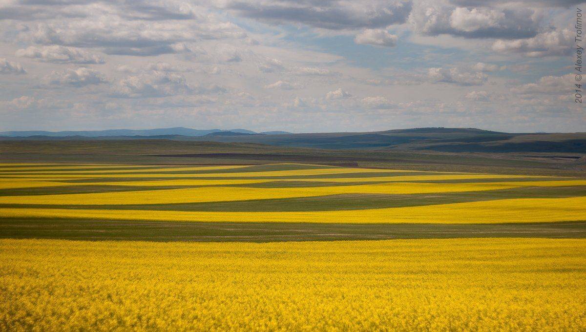 , Алексей Трофимов