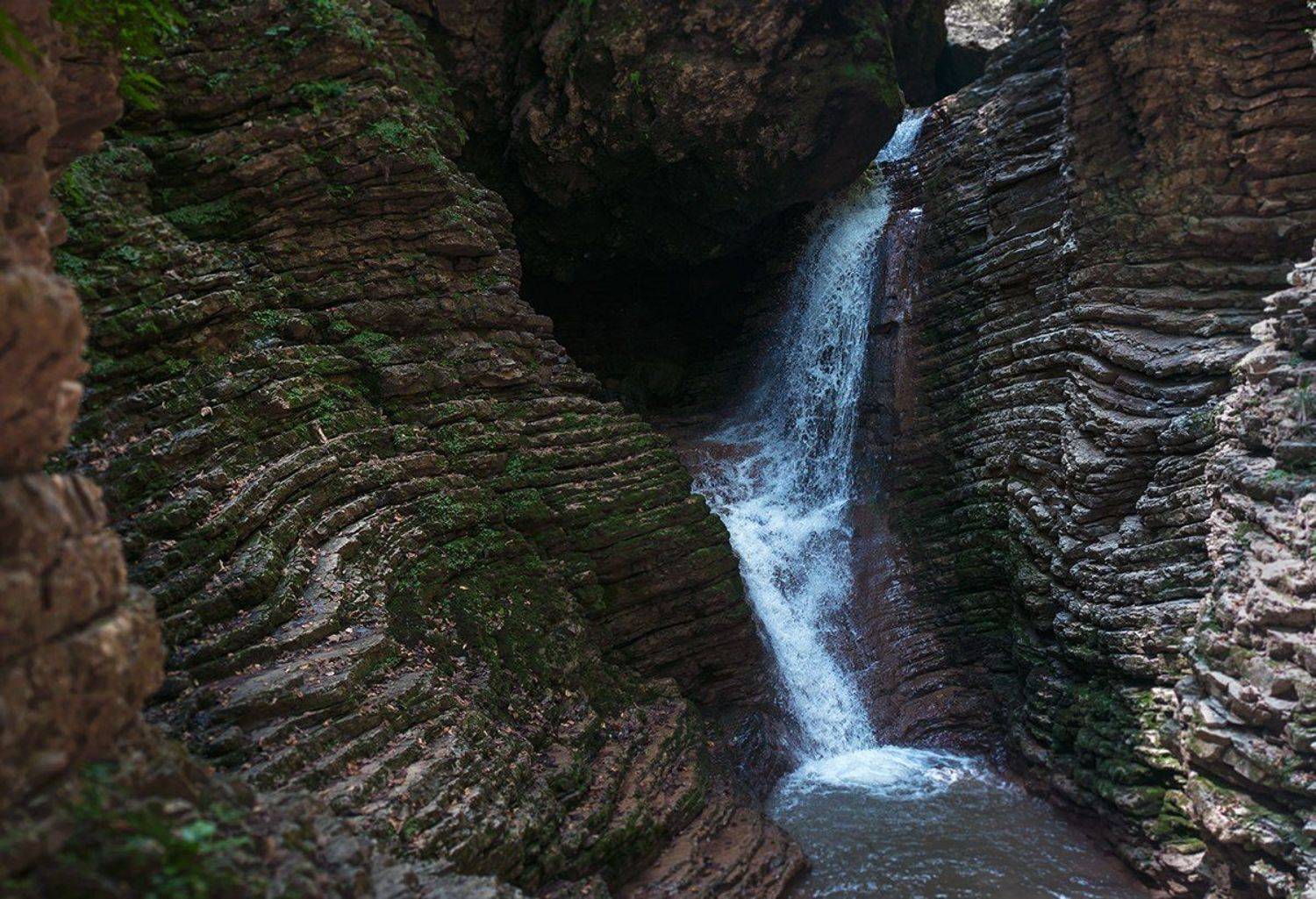 , Стамескин Даниил