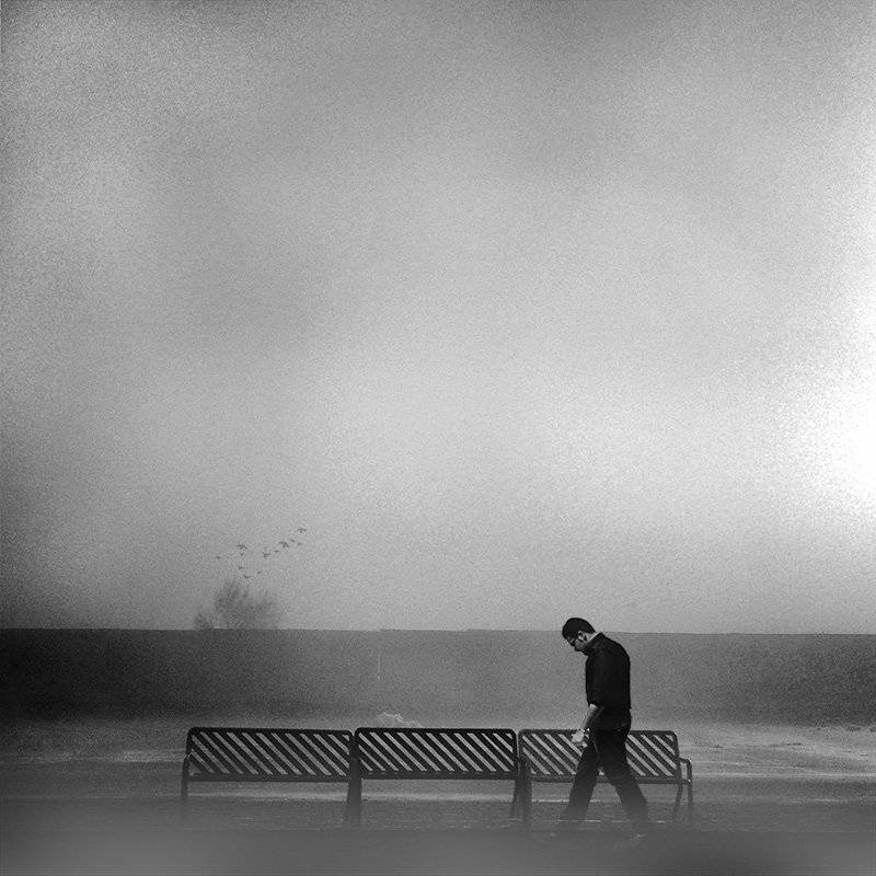 concept, conceptual, milad safabakhsh, fine art, human, birds, tree, fog, milad safabakhsh