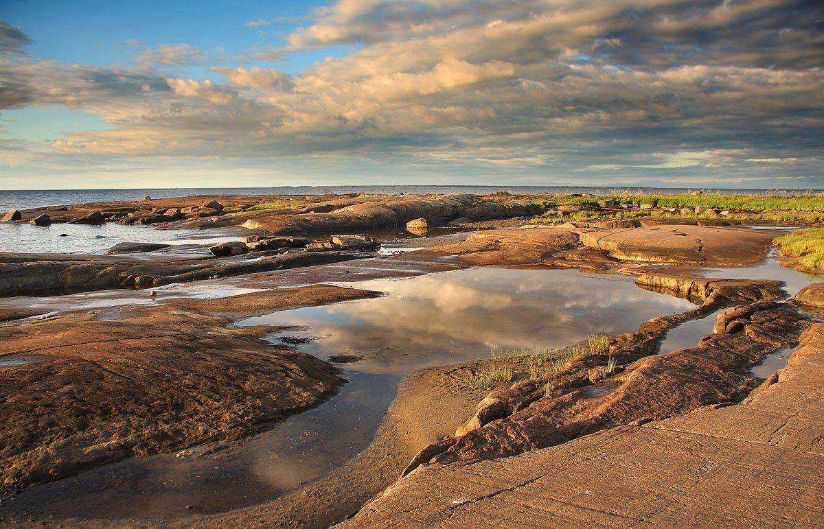 , Александр Коротков