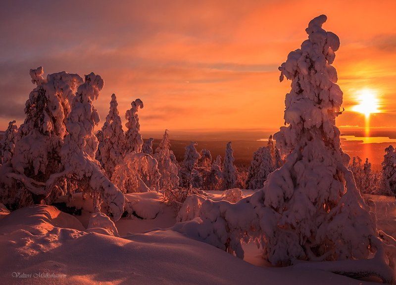 Вечернее солнце ... фото превью