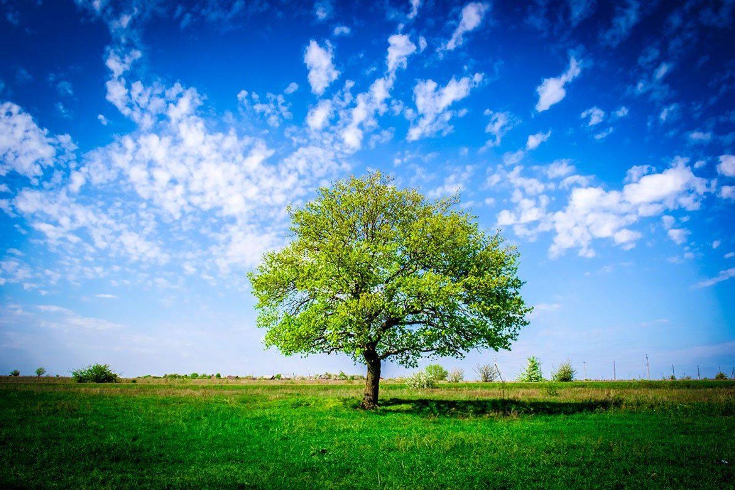 , Максим Костин