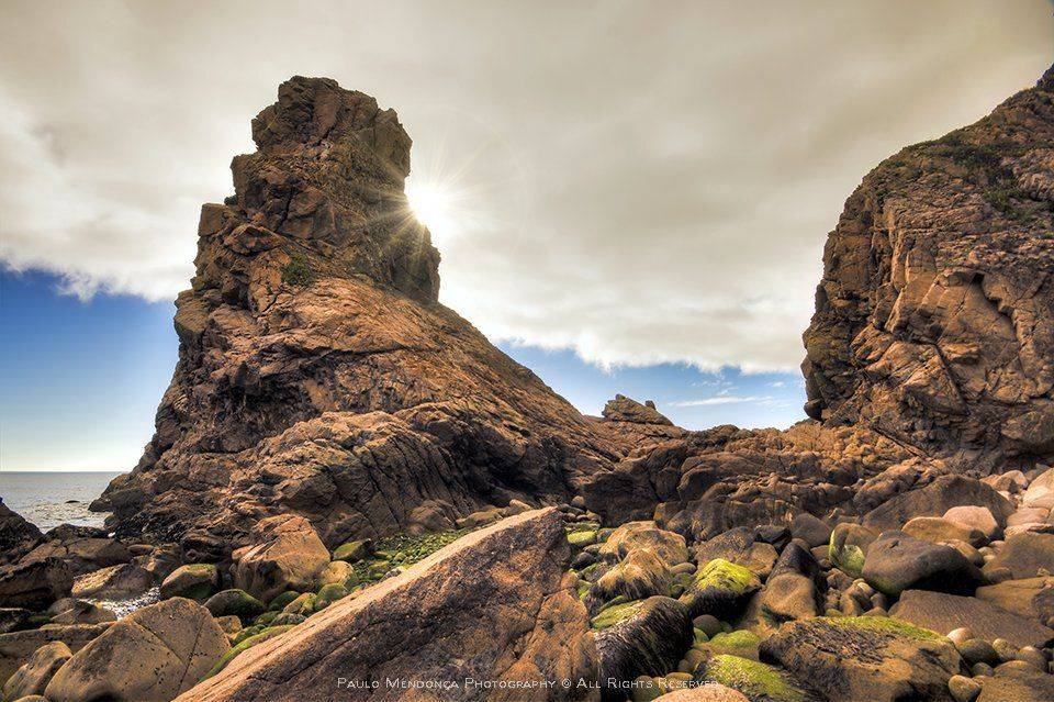 , Paulo Mendon&ccedil;a