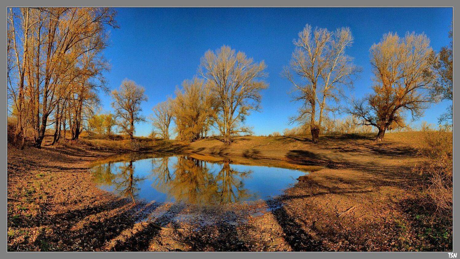 , Сергей Требунских