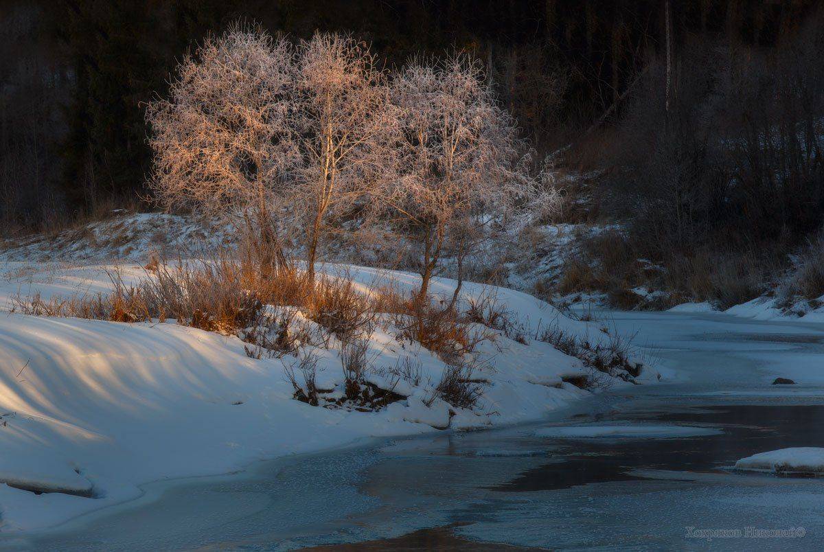 , Хохряков Николай