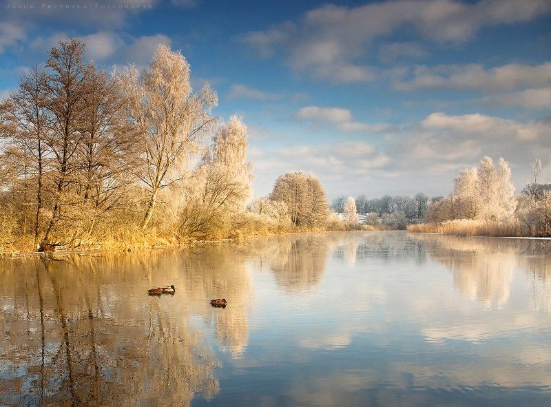 Jakub przybyla, River, Winter Frosty morning on the river Drava фото превью