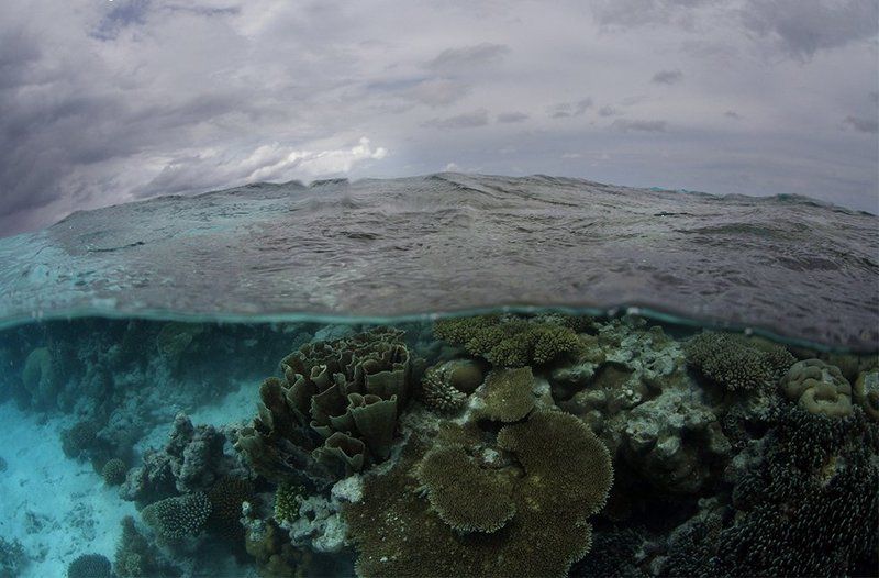 Море волнуется раз..) фото превью