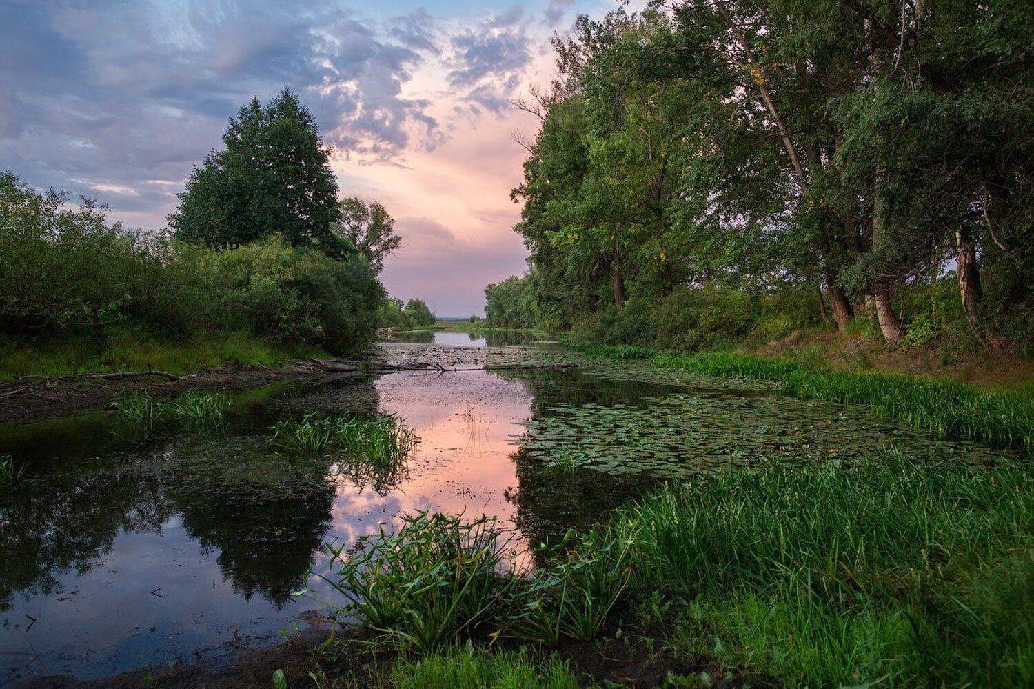 , Владимир Ляпин