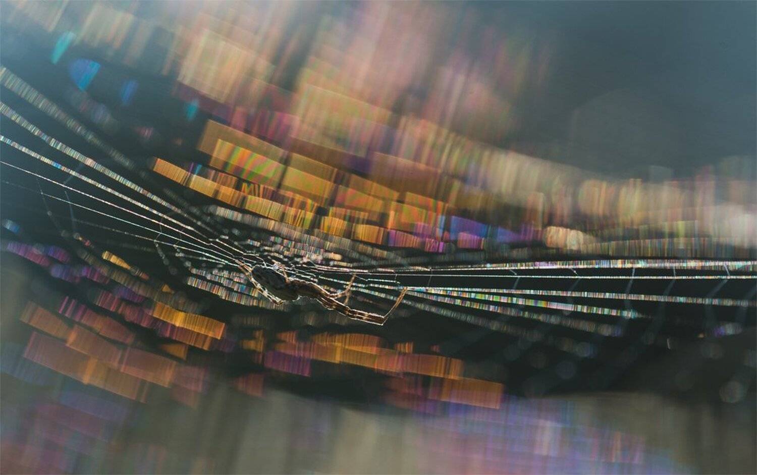 , Геннадий Мещеряков