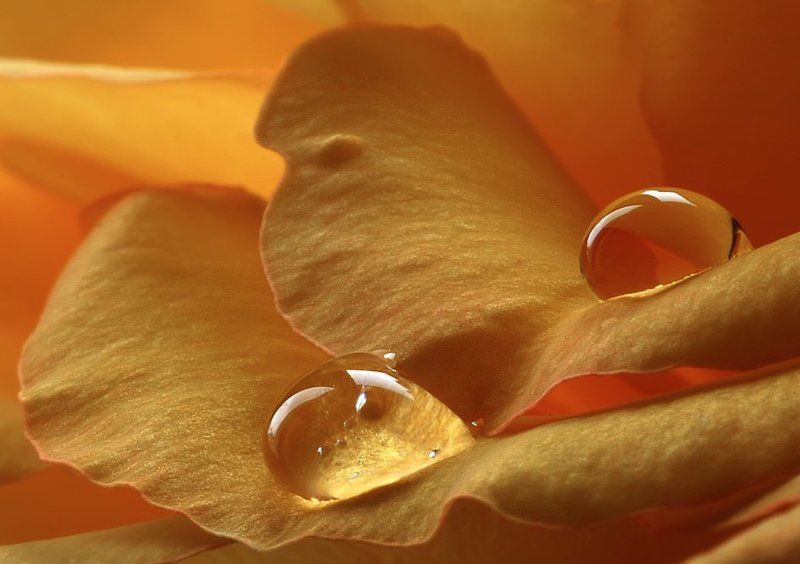 Капельки фото превью