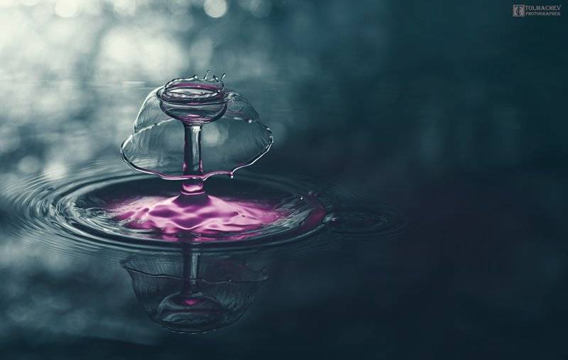 , Сергей Толмачев