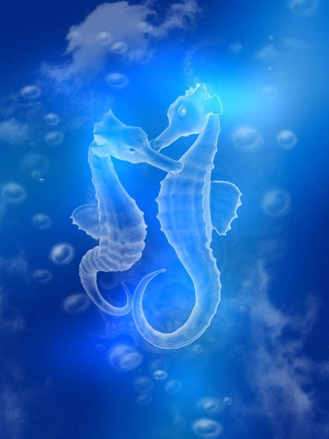 Вместе, Maria V. Gorskaya