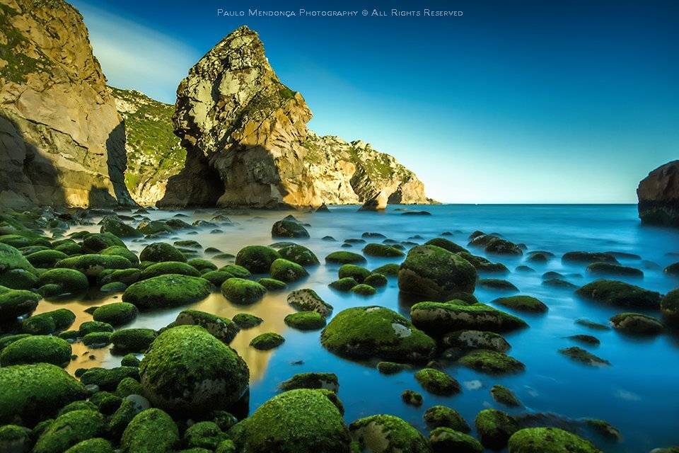 , Paulo Mendon&ccedil;a