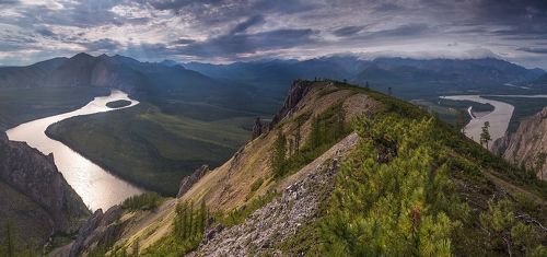 Блестящая петля