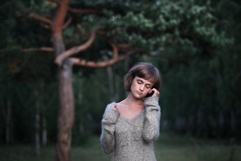 Pine фото превью