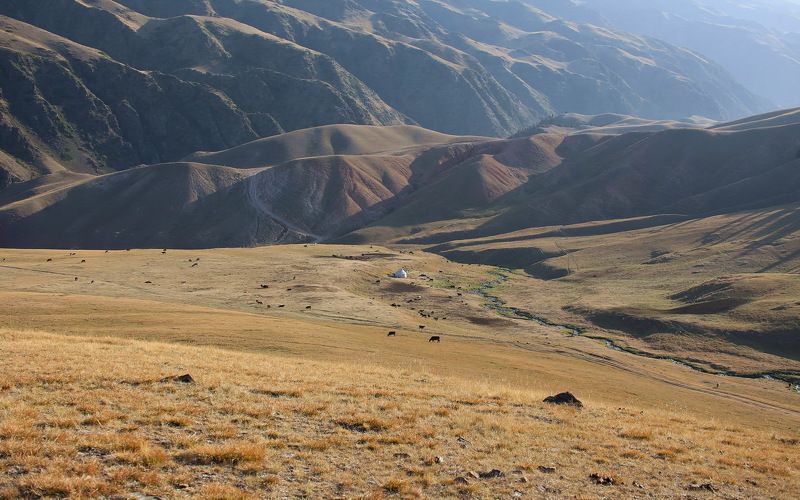 казахстан, , заилийское, алатау, ассы  фото превью