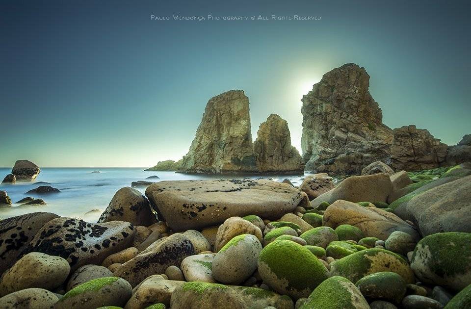 , Paulo Mendon&ccedil;a