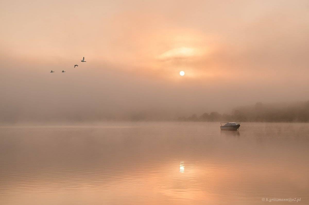 , Katarzyna Gritzmann