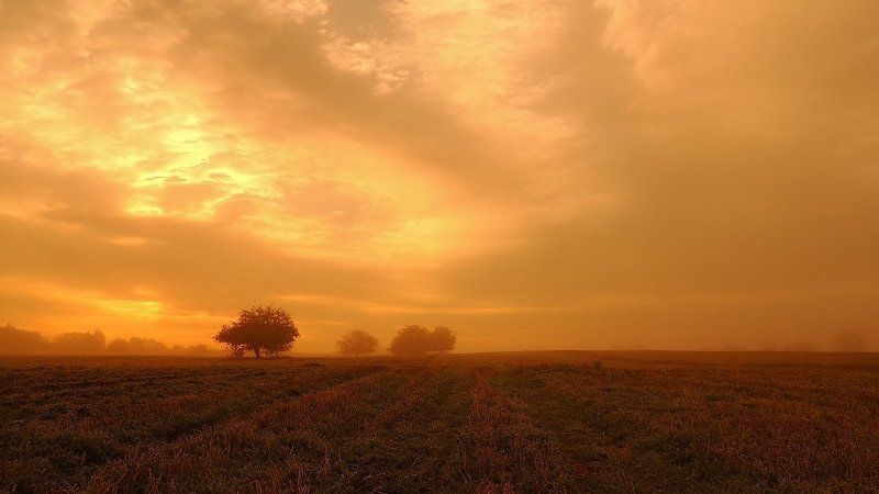 Далеко рассвет ... фото превью