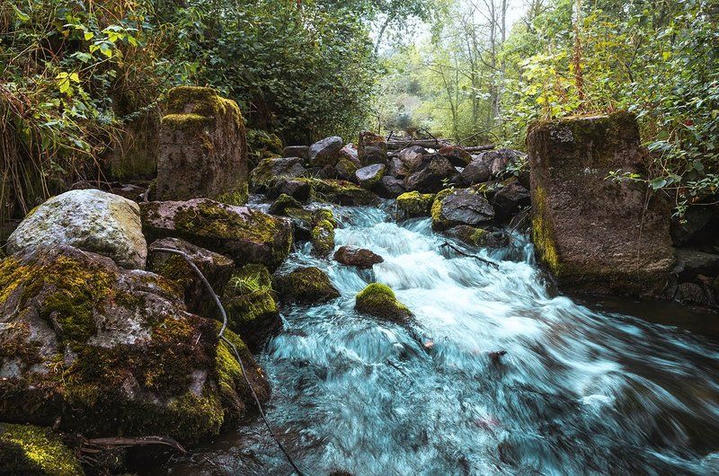 Асилан фото превью