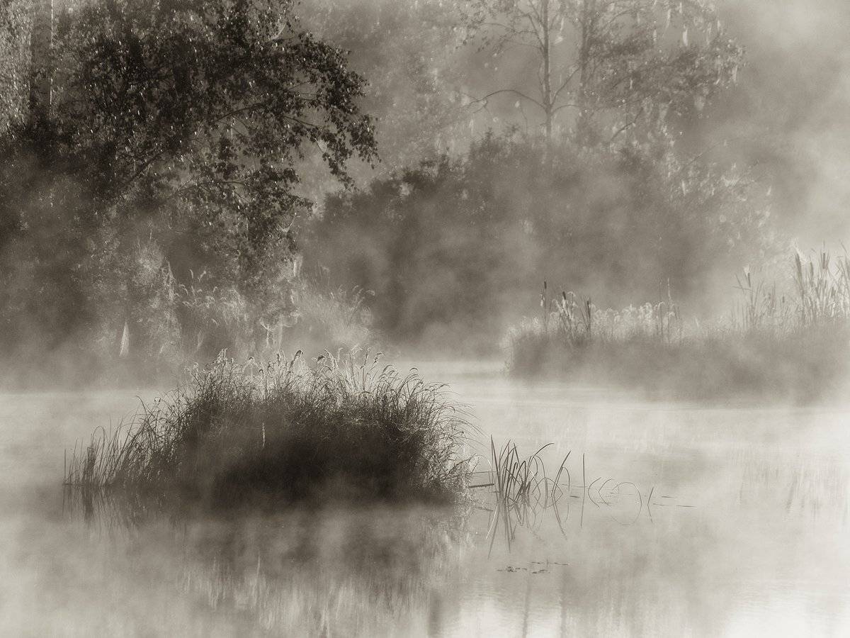 , Владимир Перепечаев