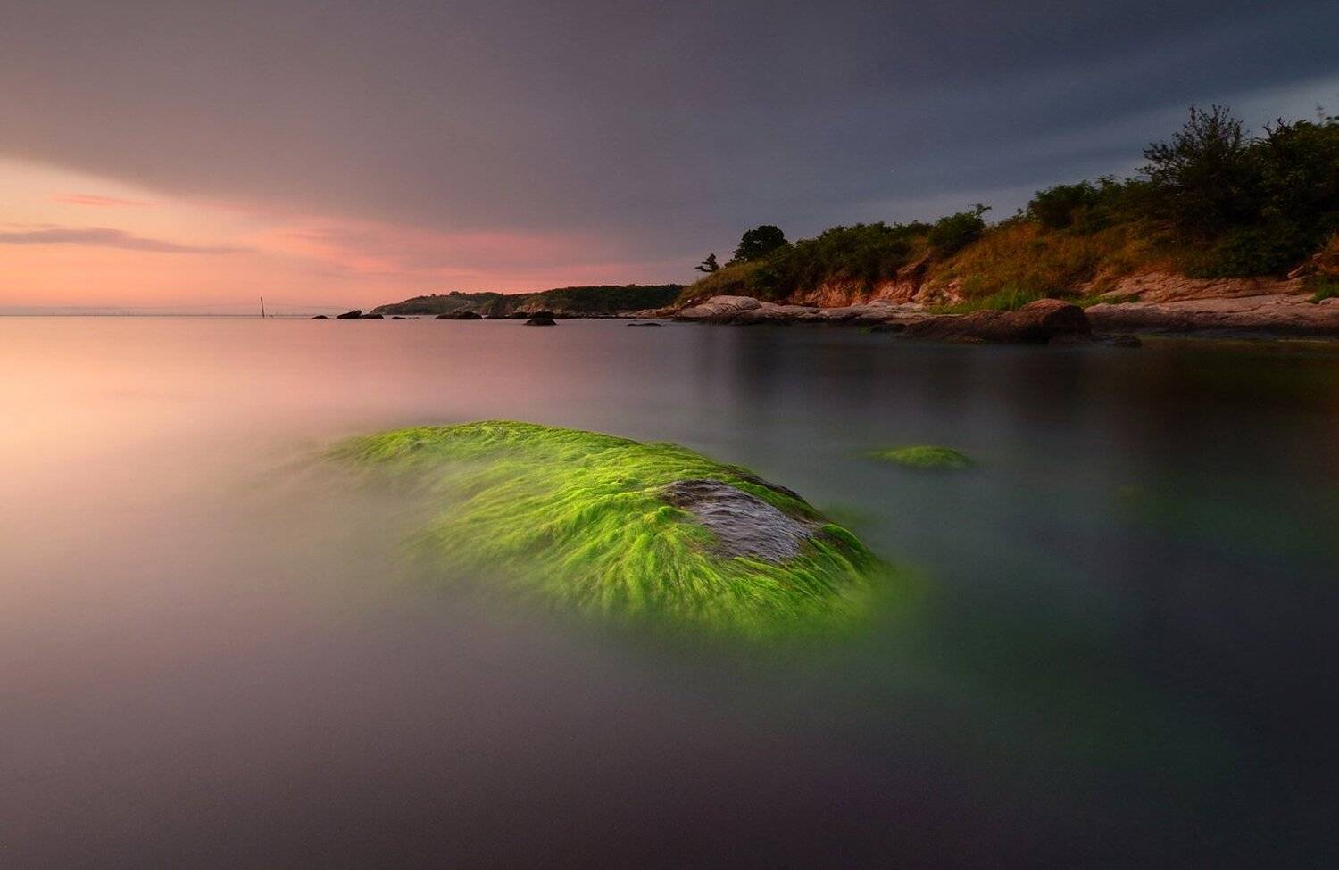 , Румен Паисиев