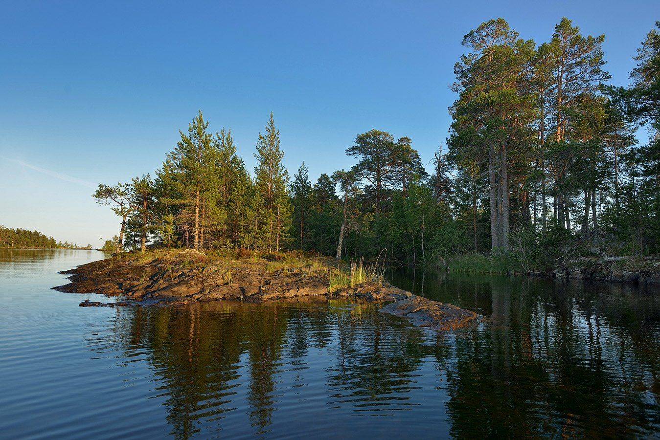 , Сергей Седов