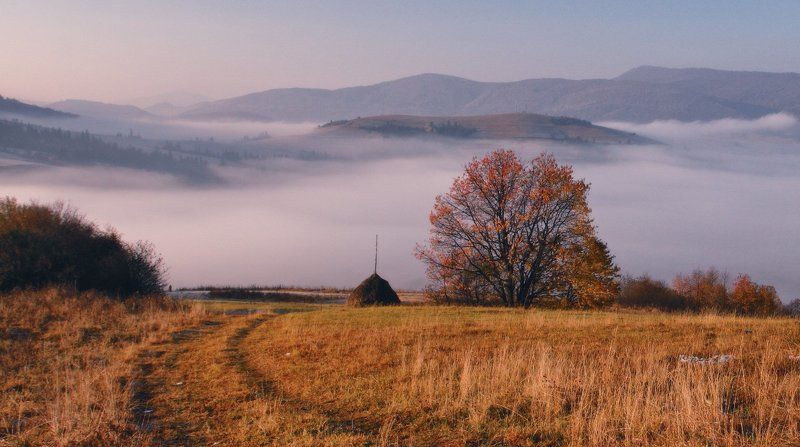 карпаты, осень, утро, туман Осенняя пора фото превью