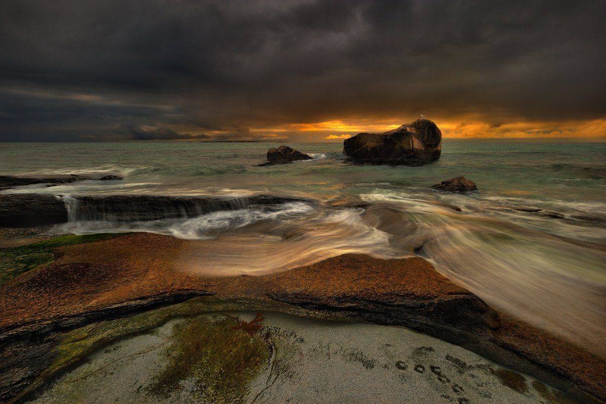 , Pawel Kucharski