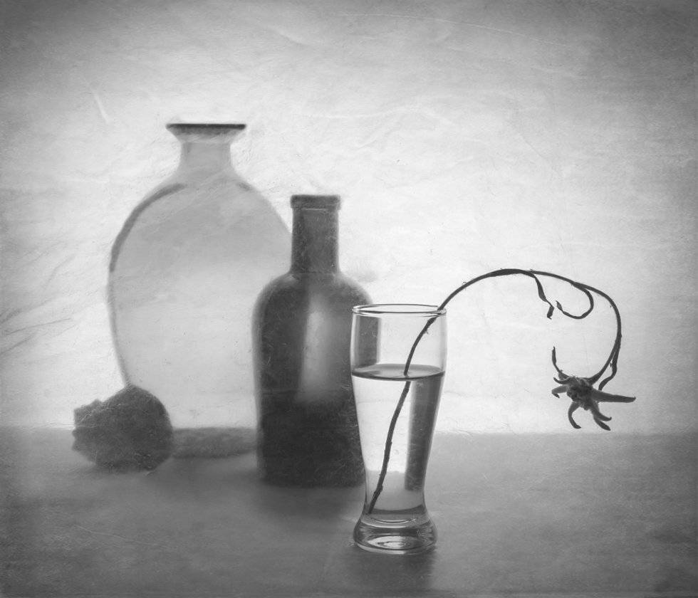 , Людмила Прокофьева