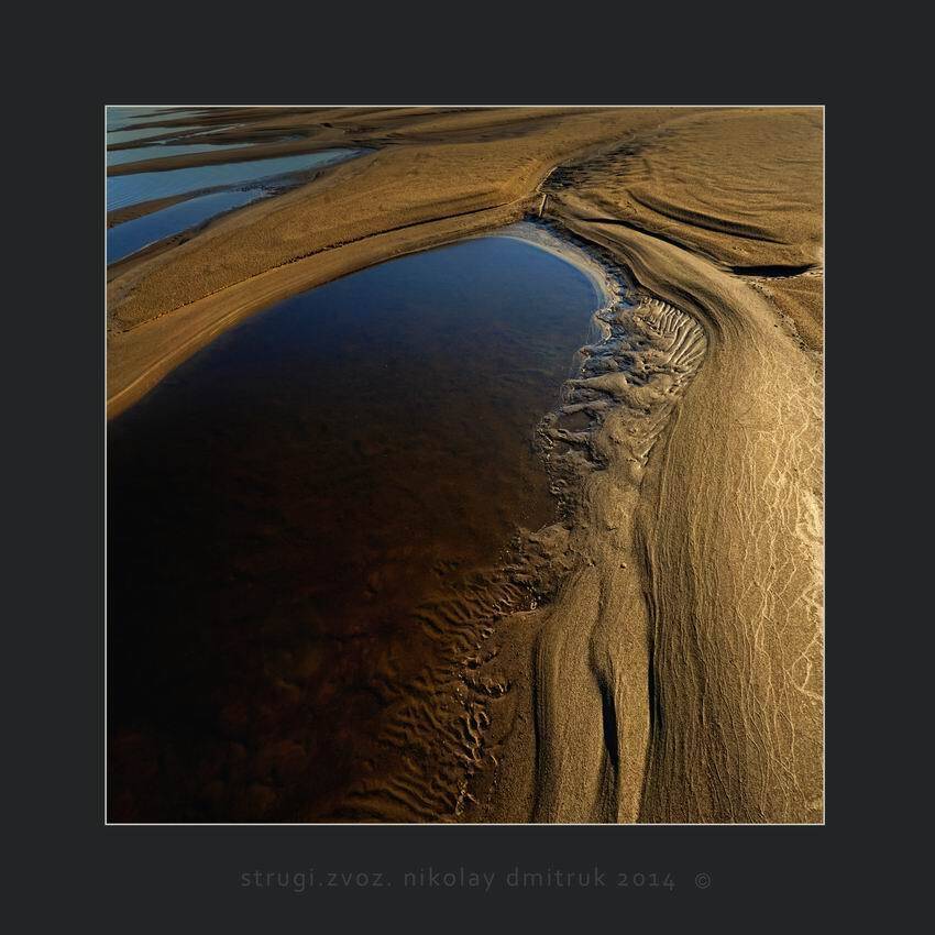 , николай дмитрук