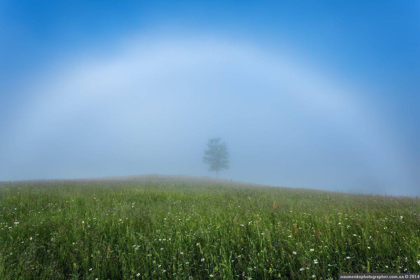 карпаты,	пейзаж,	рассвет, туман,	туманное утро, украина,	утро,	дземброня, Александр