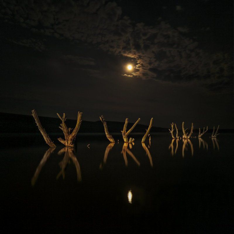 *** фото превью