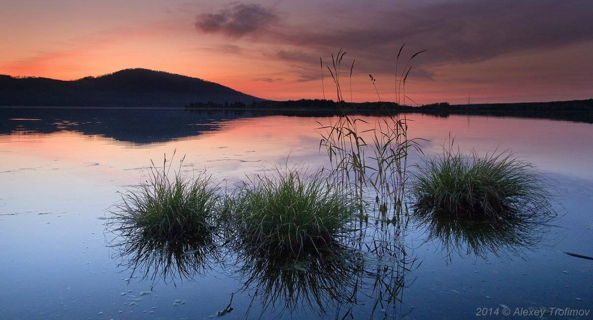 , Алексей Трофимов