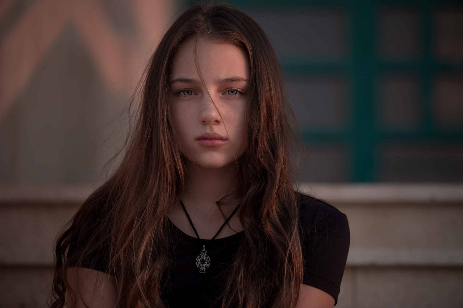 , Мишель Висипский