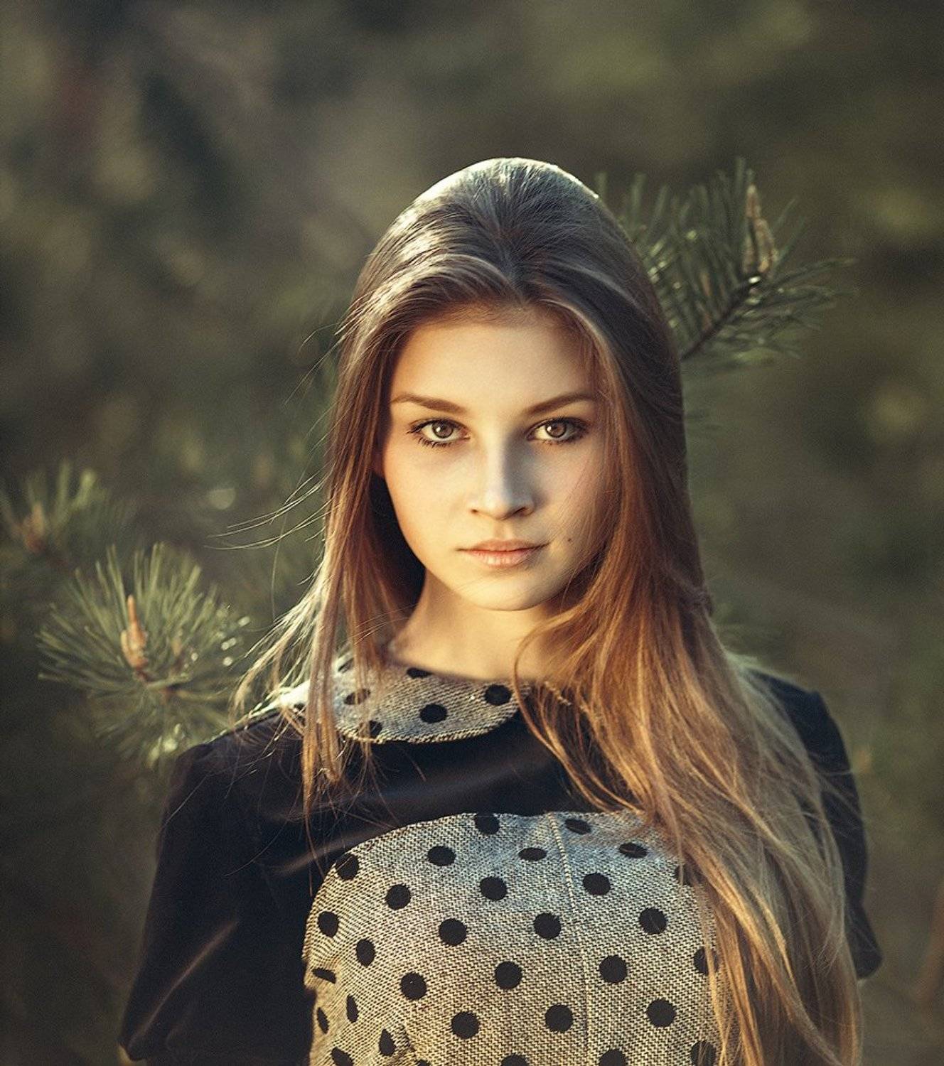 , Александр Кравцов