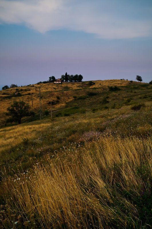 Summer memories фото превью