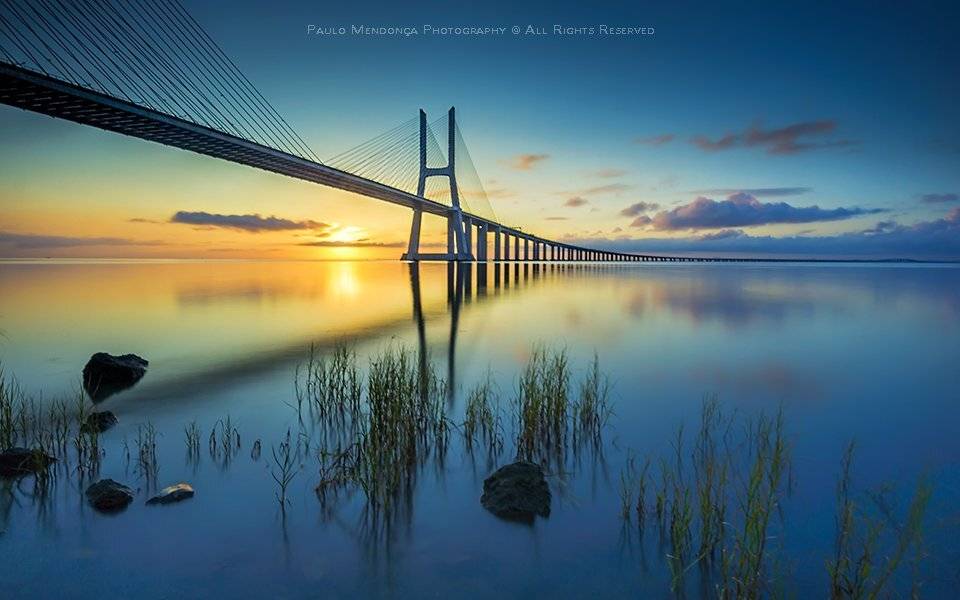 , Paulo Mendon&ccedil;a