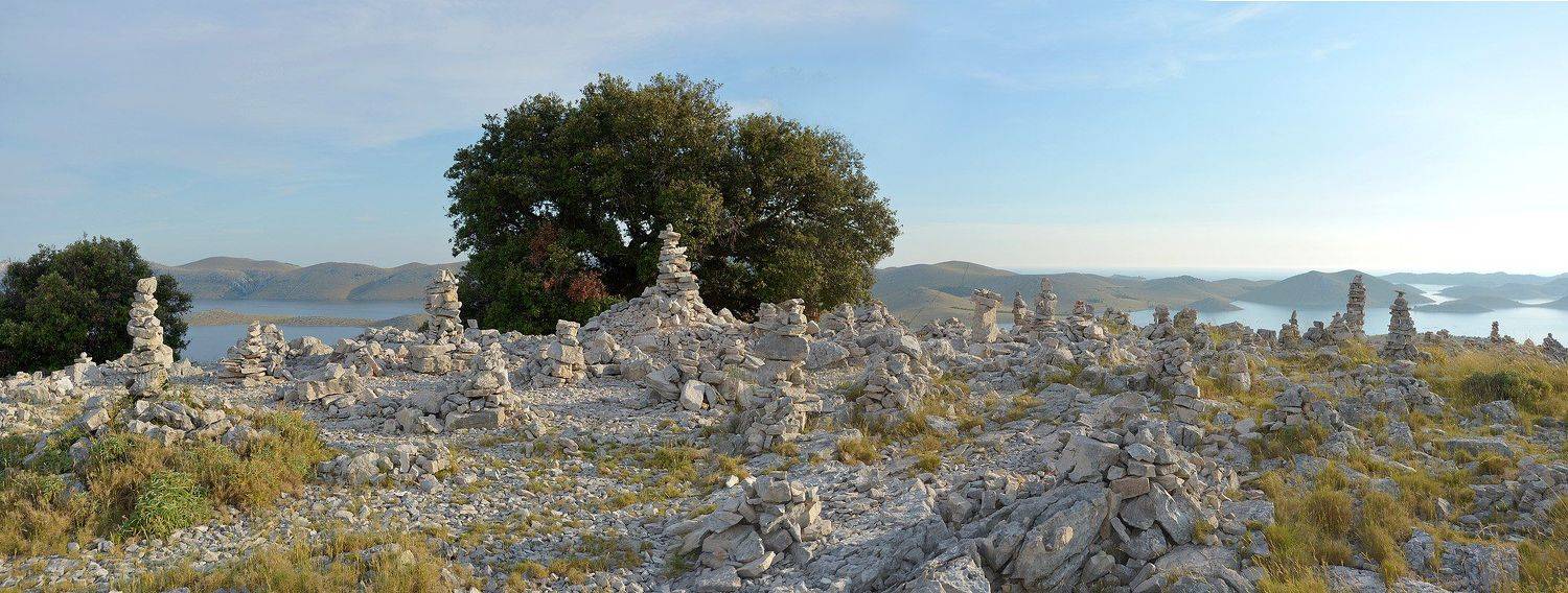 , Сергей Седов