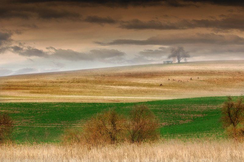 *** фото превью