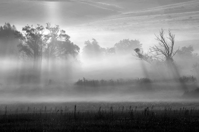 Утро фото превью