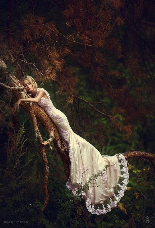 , Тихомиров Николай