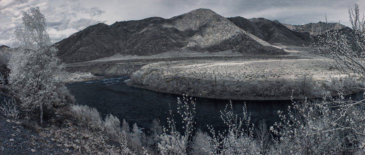 , Николай Ляпин