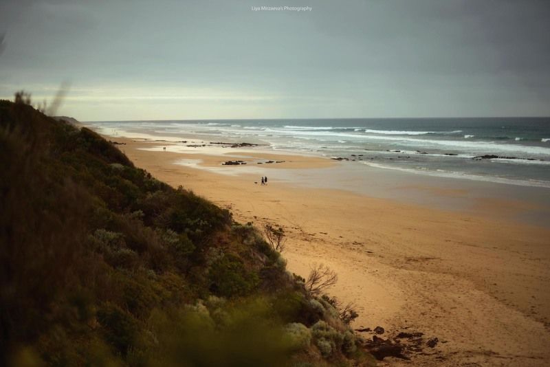 Winter walk фото превью