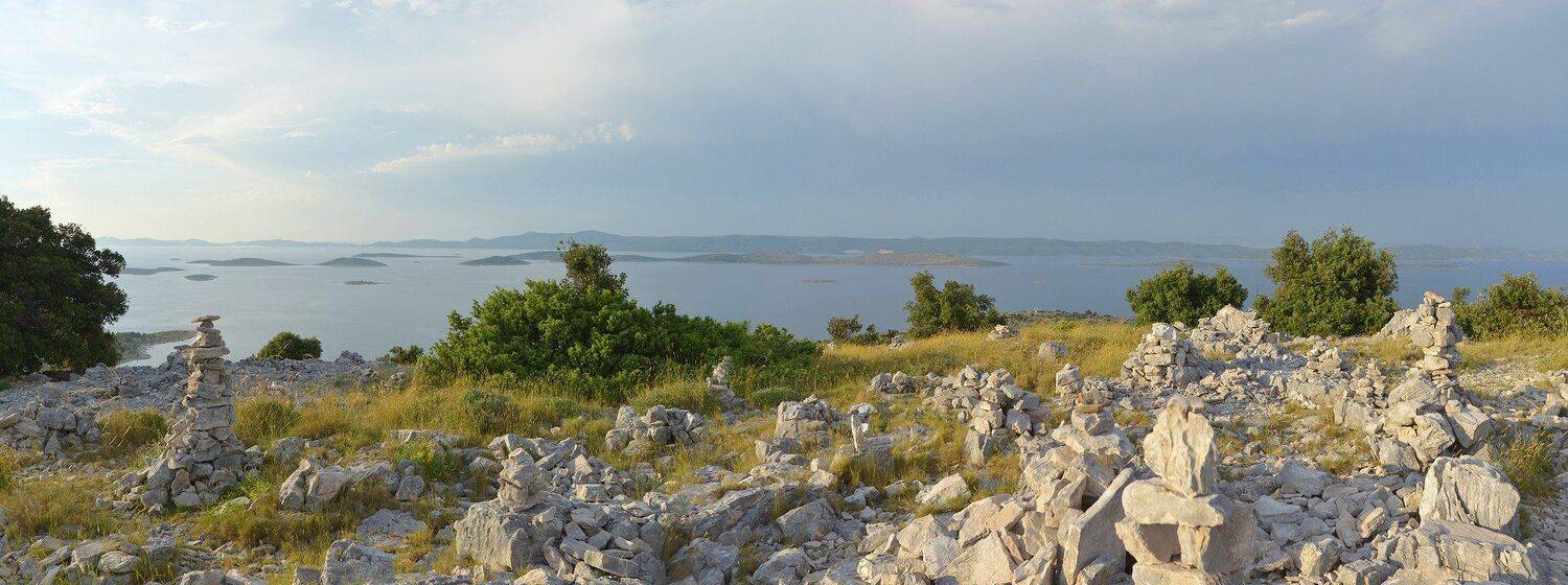 , Сергей Седов