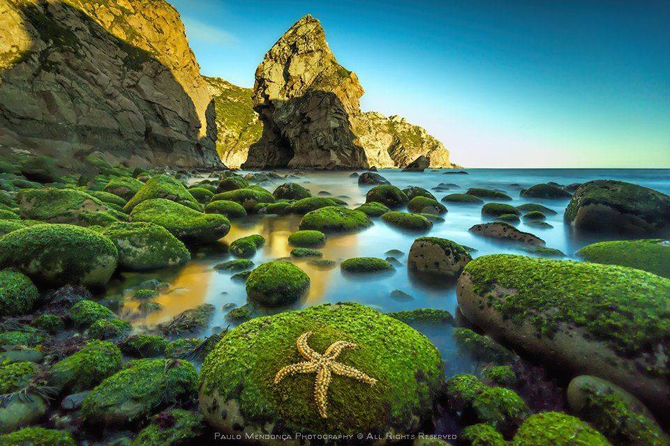 , Paulo Mendon&ccedil;a