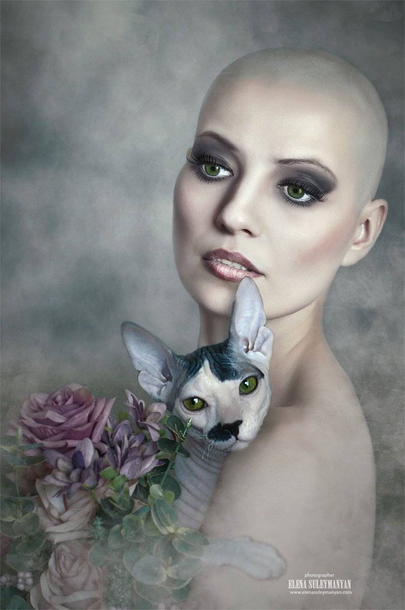 , Сулейманян Елена